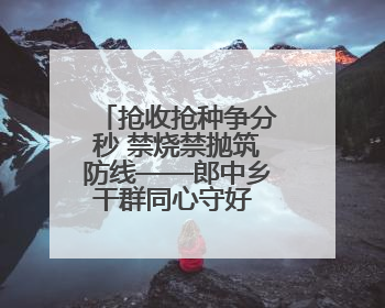 抢收抢种争分秒 禁烧禁抛筑防线——郎中乡干群同心守好 粮袋子